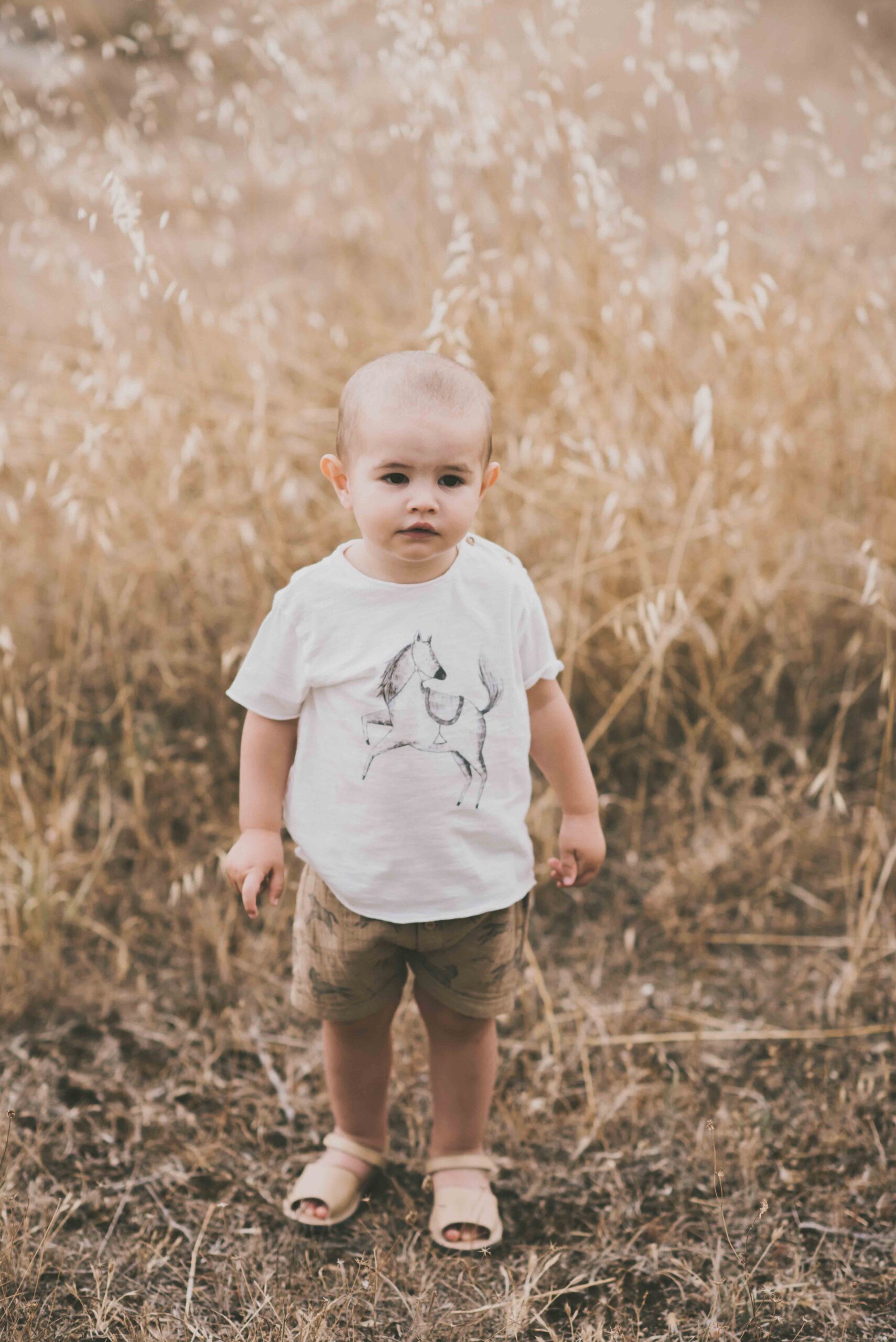 DearMini_horses_116-2